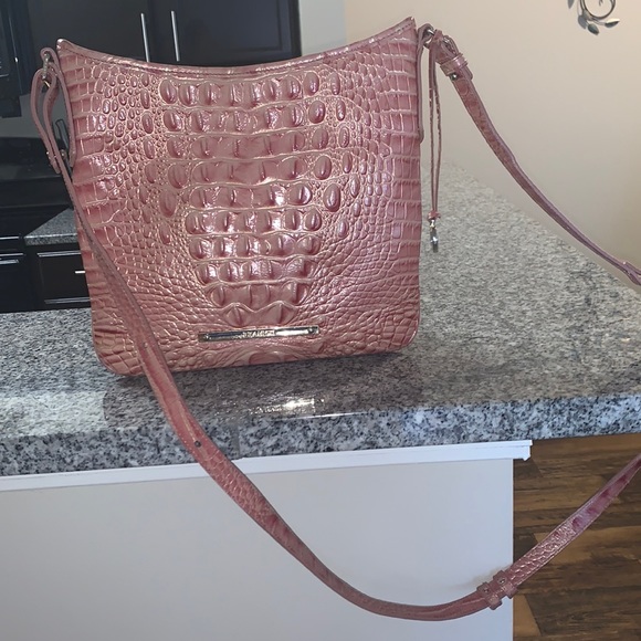 Brhamin - Picture 2 of 8